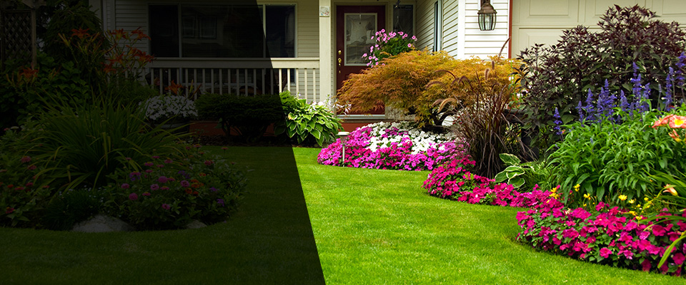 Moseley Landscapers