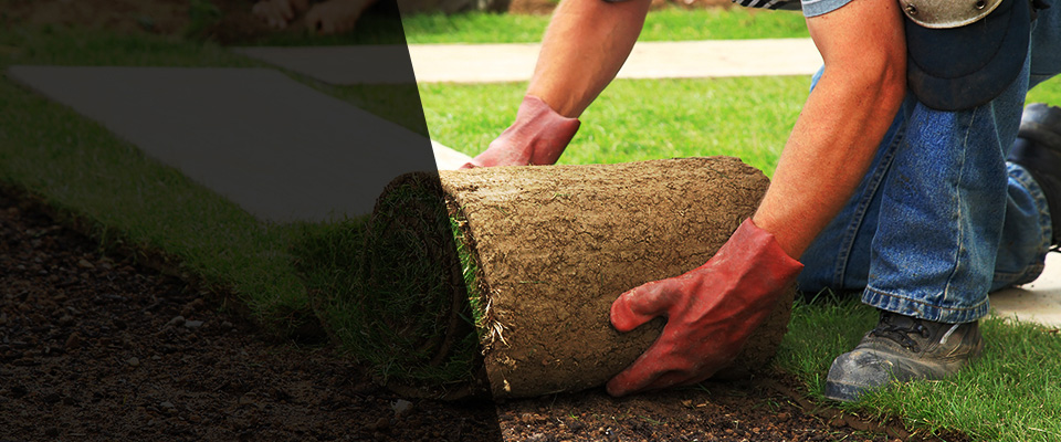 Moseley Landscapers